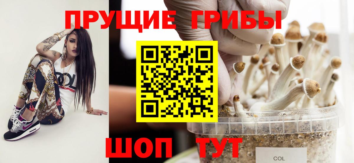 Псилоцибиновые грибы Magic Shrooms Барнаул
