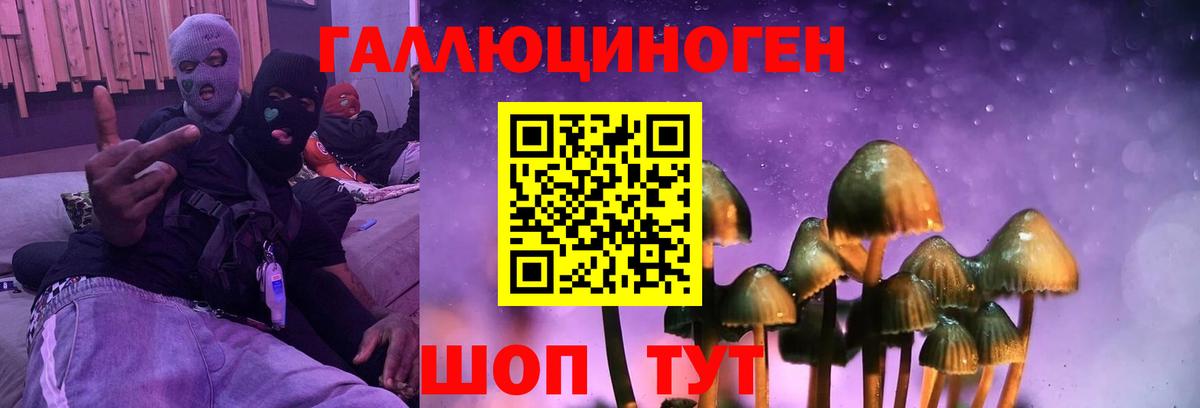 Галлюциногенные грибы прущие грибы  Вход с VPN  Псилоцибиновые грибы прущие грибы  Барнаул 